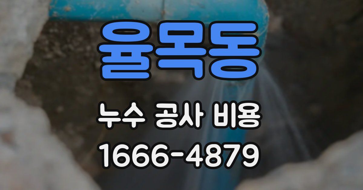 율목동 누수 공사 비용