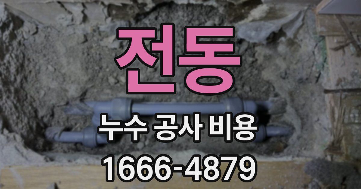 전동 누수 공사 비용