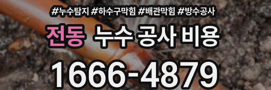 전동 누수 공사 비용