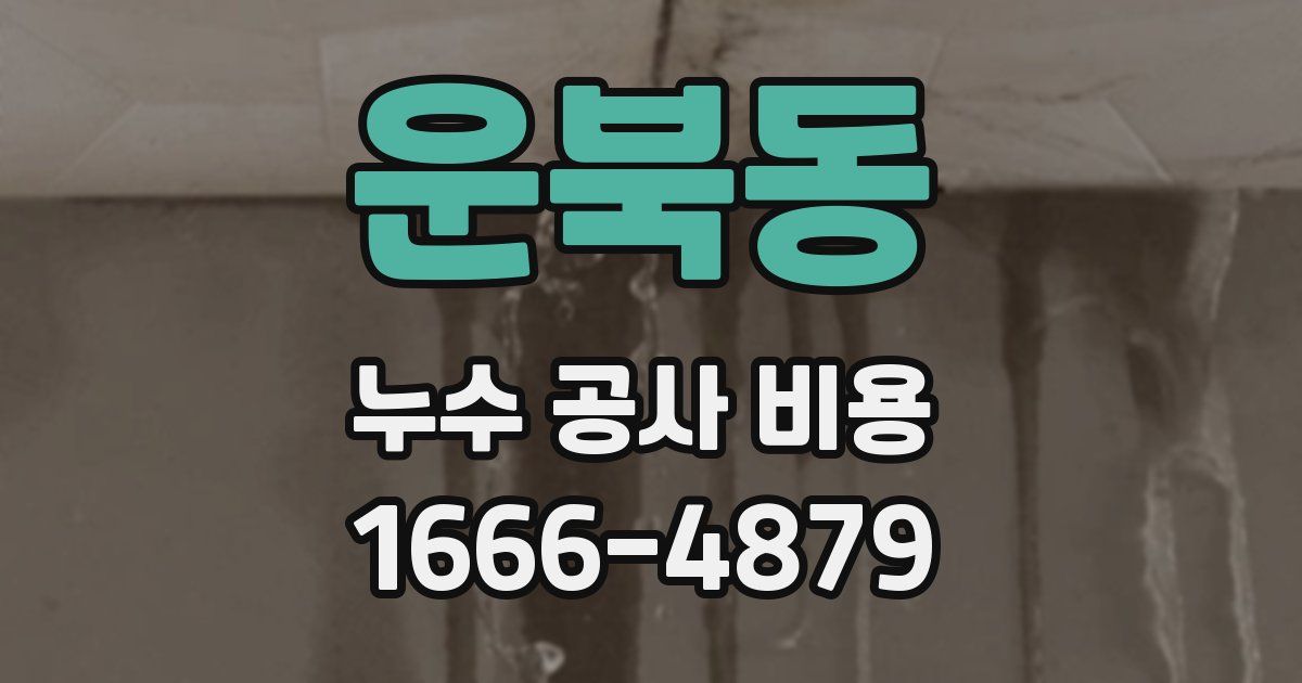 운북동 누수 공사 비용