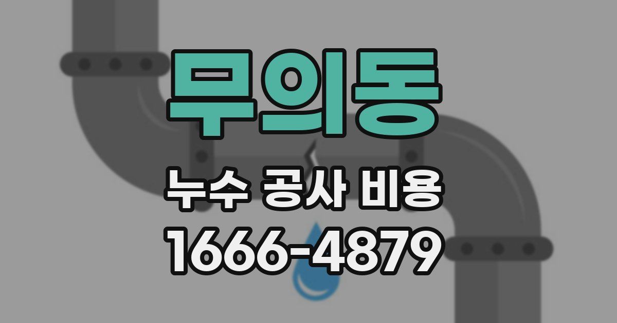 무의동 누수 공사 비용
