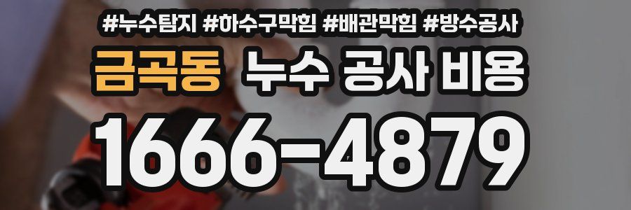 금곡동 누수 공사 비용