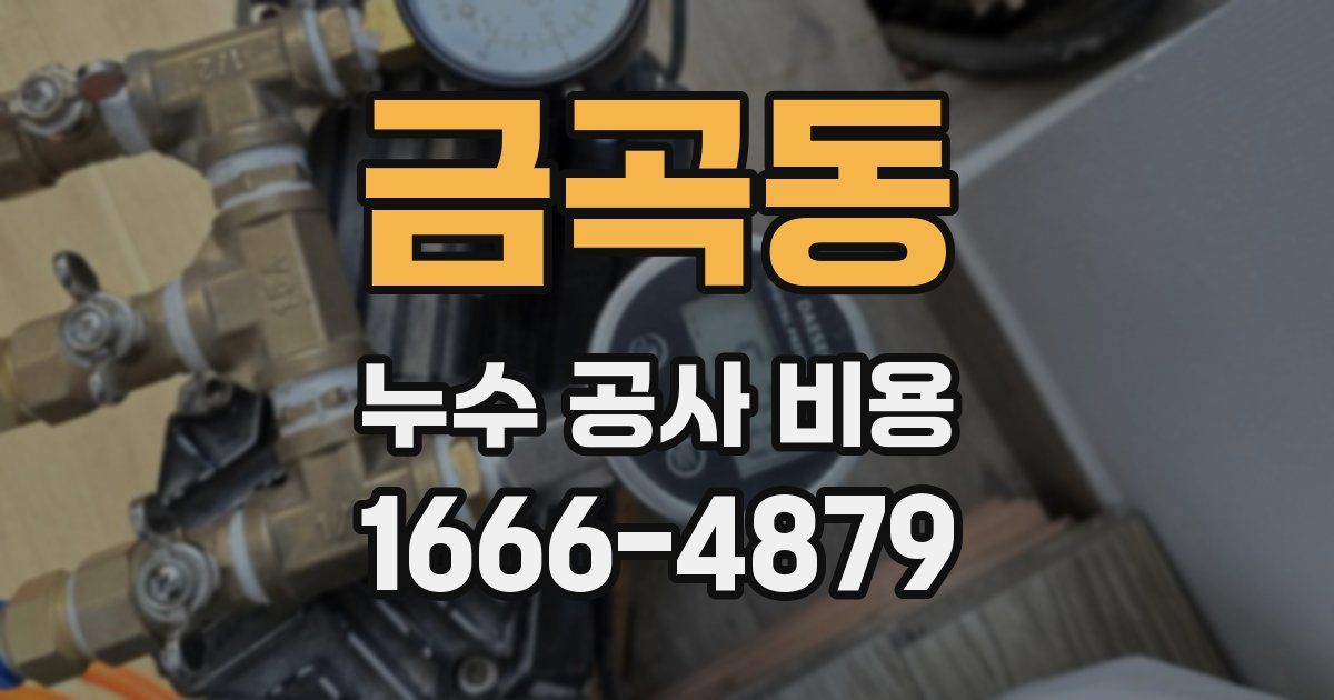 금곡동 누수 공사 비용