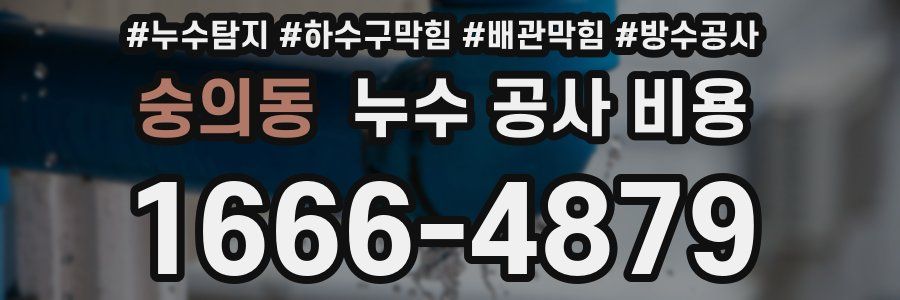 숭의동 누수 공사 비용