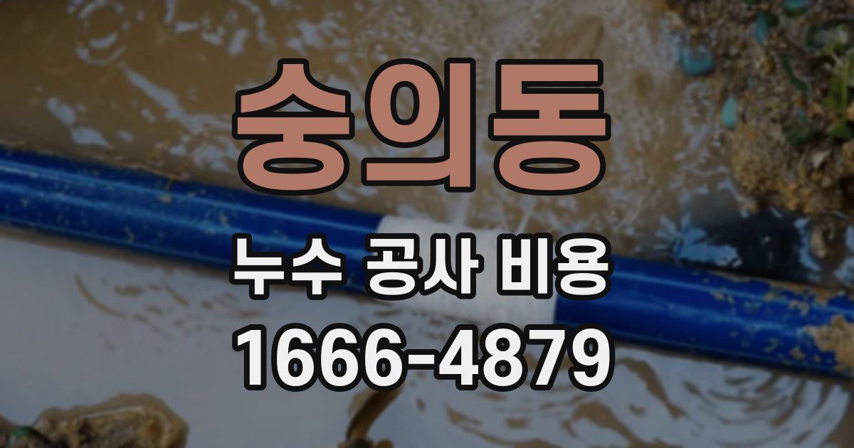 숭의동 누수 공사 비용