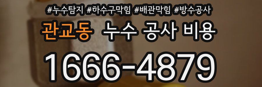관교동 누수 공사 비용