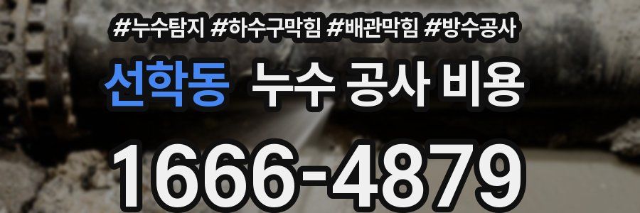 선학동 누수 공사 비용