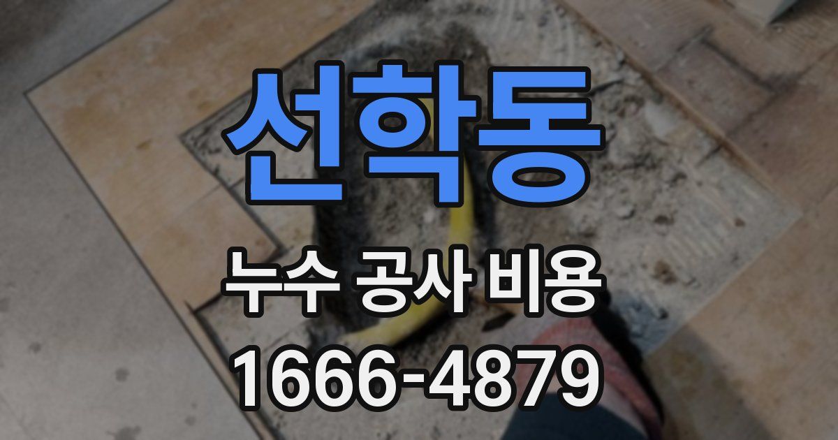 선학동 누수 공사 비용