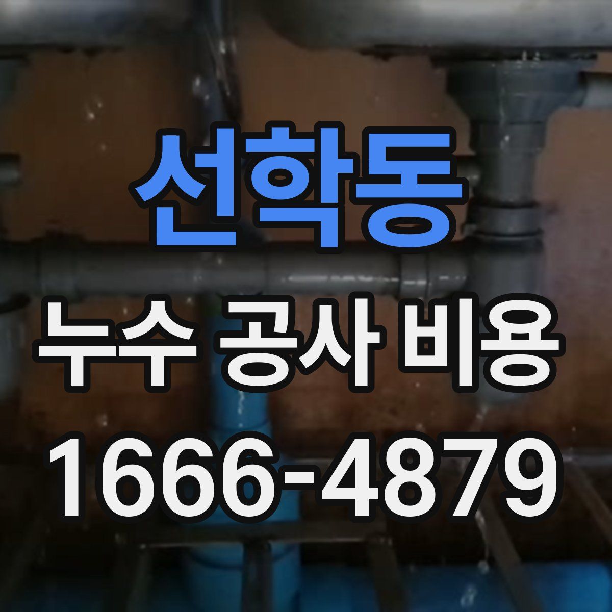 선학동 누수 공사 비용