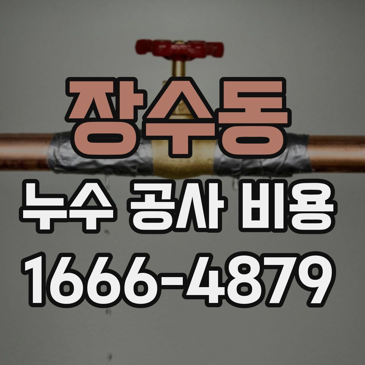 장수동 누수 공사 비용