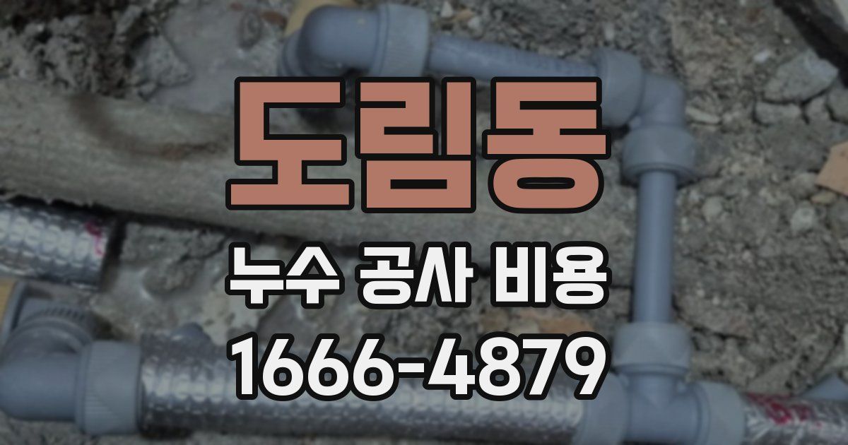 도림동 누수 공사 비용