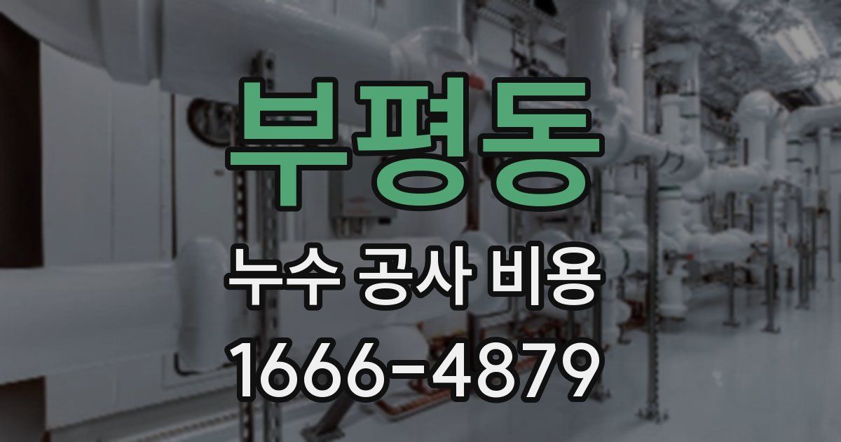 부평동 누수 공사 비용