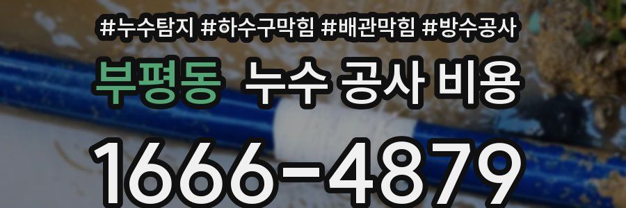 부평동 누수 공사 비용