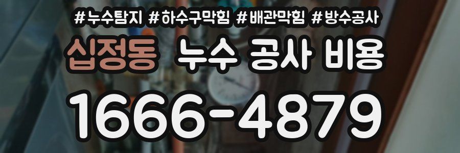 십정동 누수 공사 비용