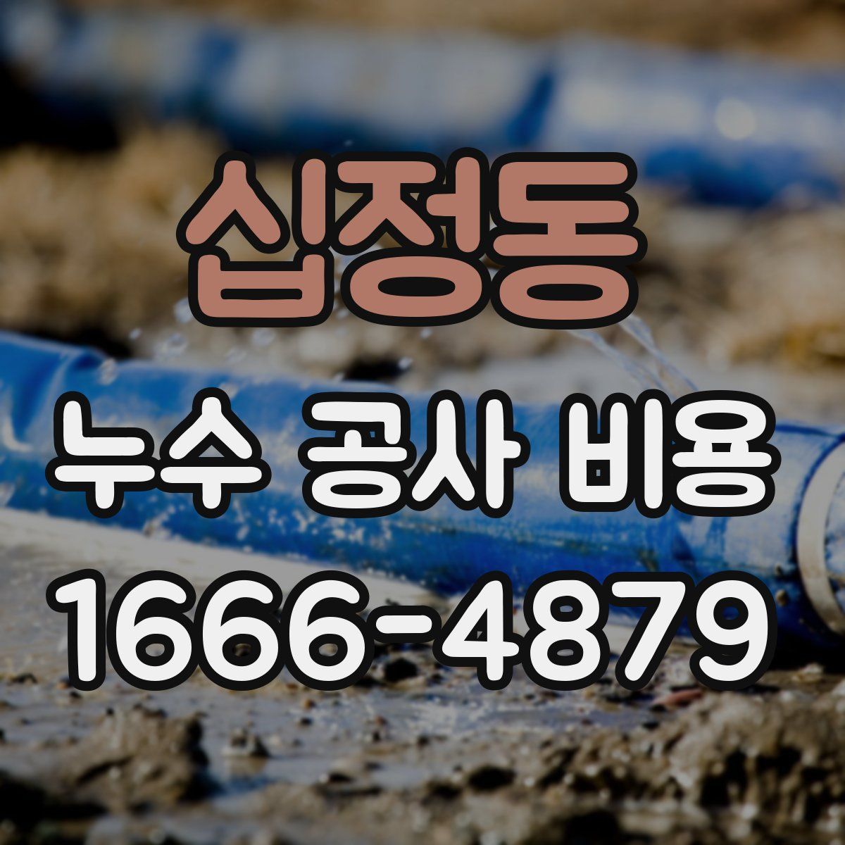 십정동 누수 공사 비용