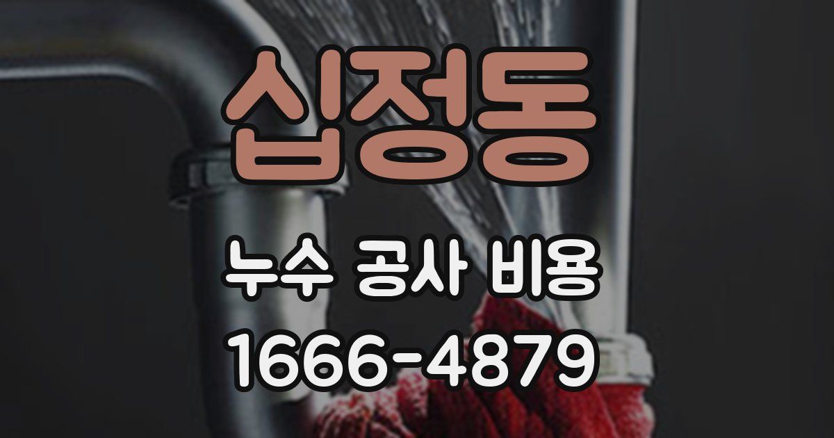 십정동 누수 공사 비용
