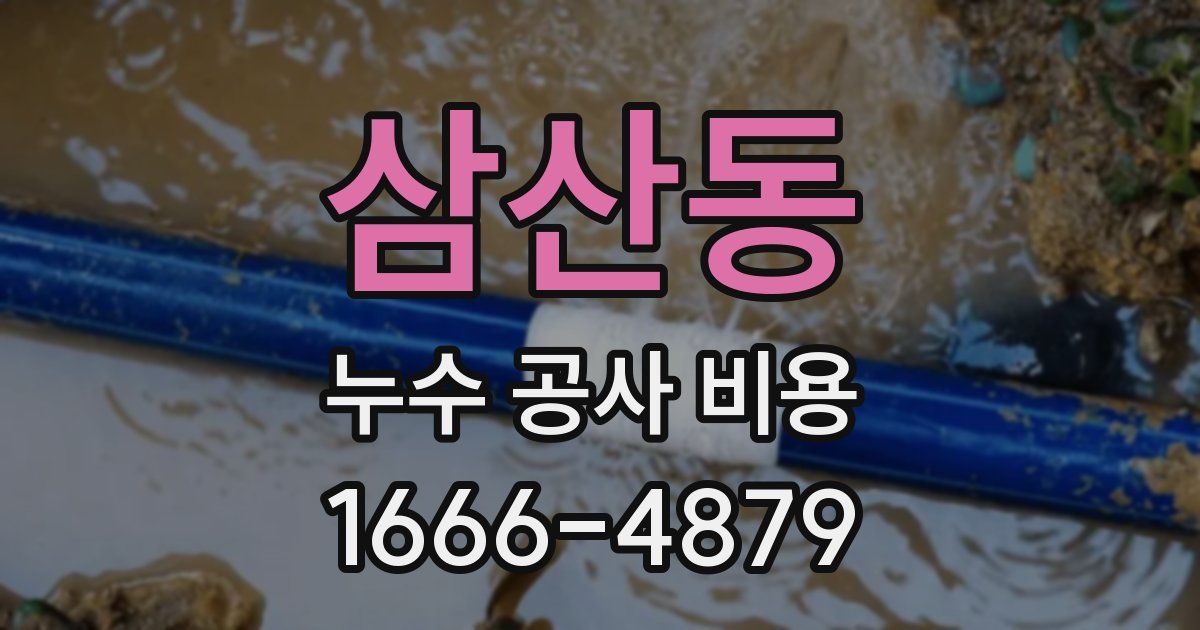 삼산동 누수 공사 비용