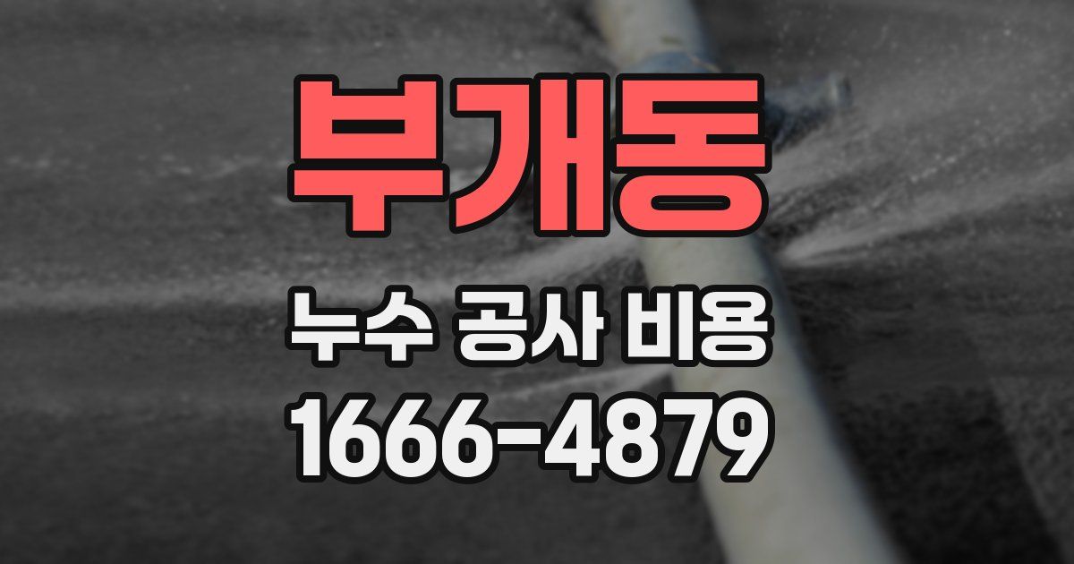 부개동 누수 공사 비용