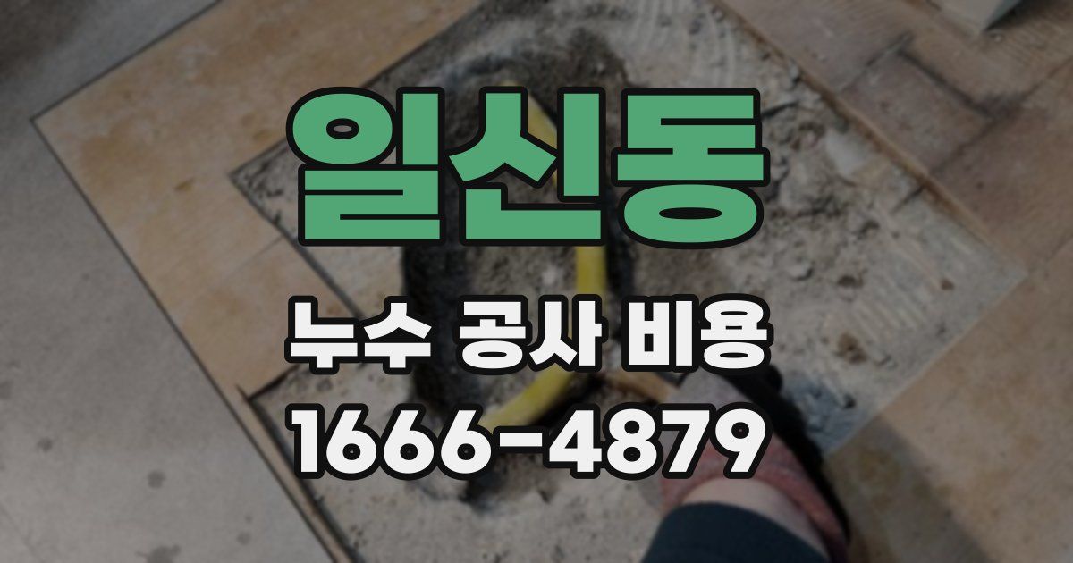 일신동 누수 공사 비용