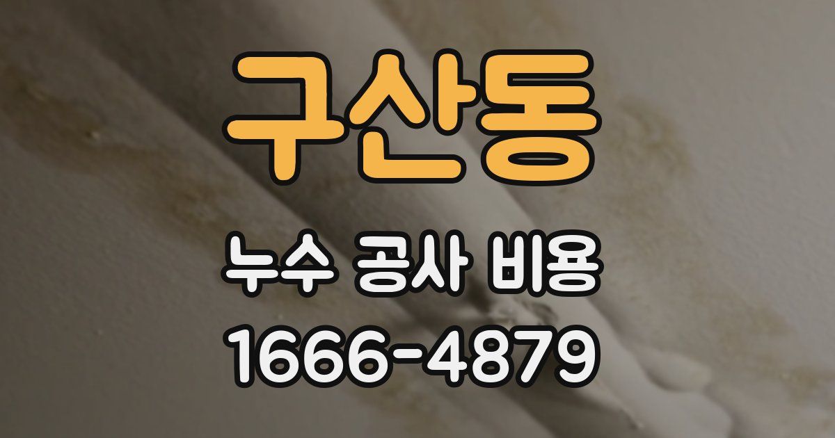 구산동 누수 공사 비용