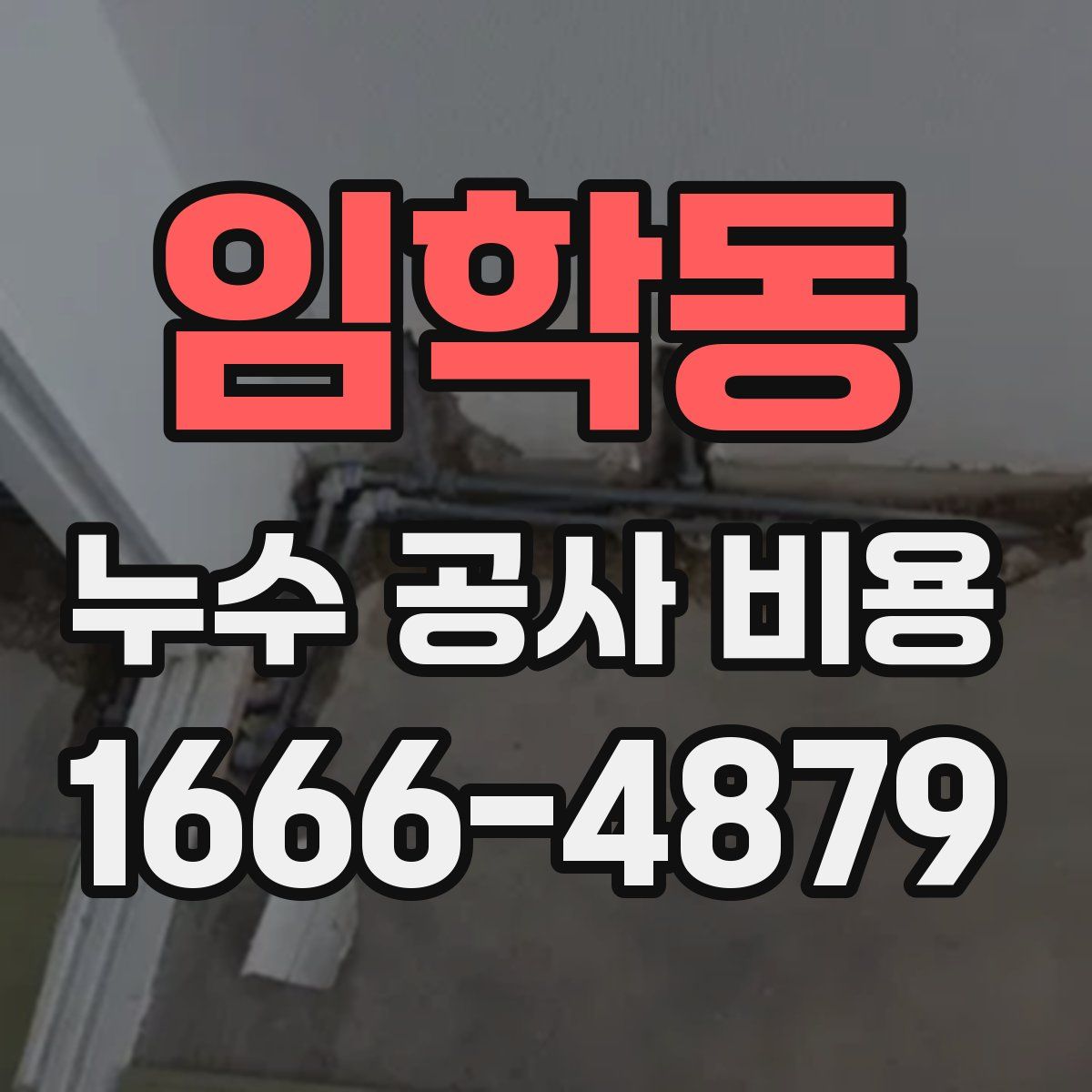 임학동 누수 공사 비용
