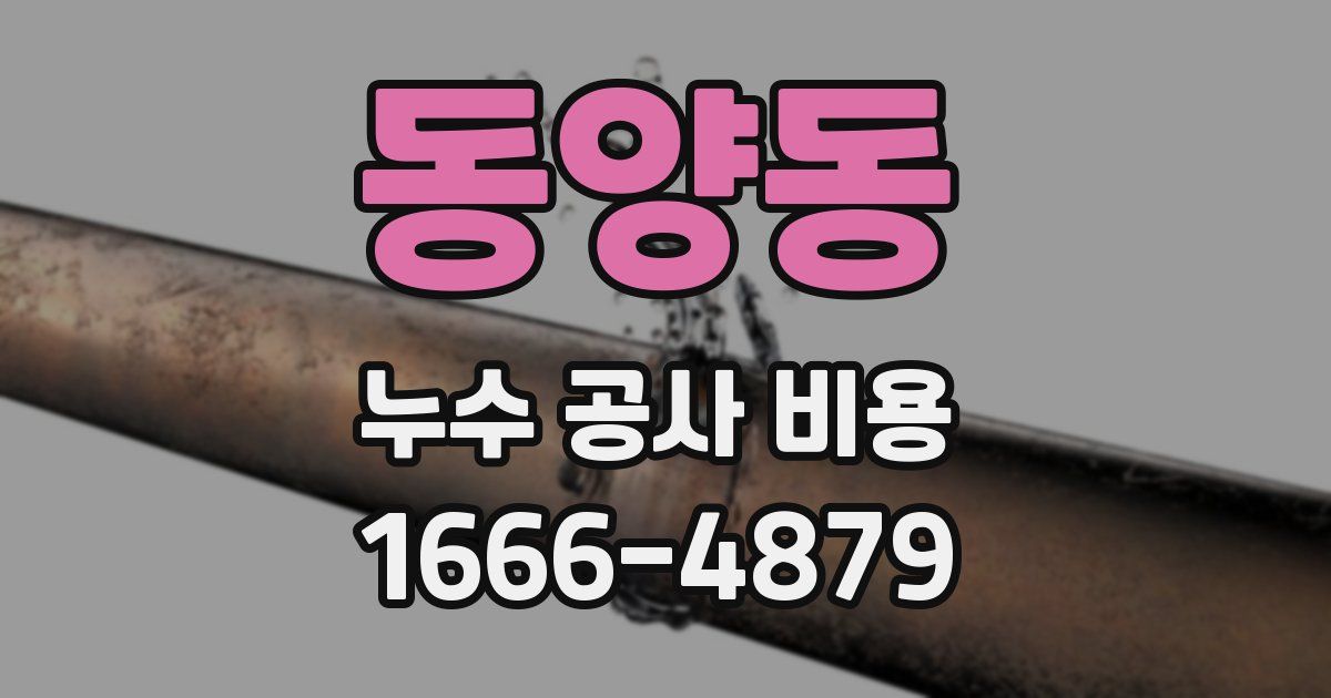 동양동 누수 공사 비용
