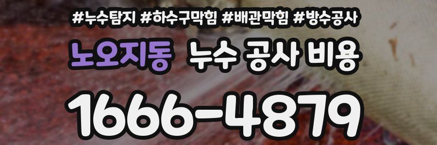 노오지동 누수 공사 비용