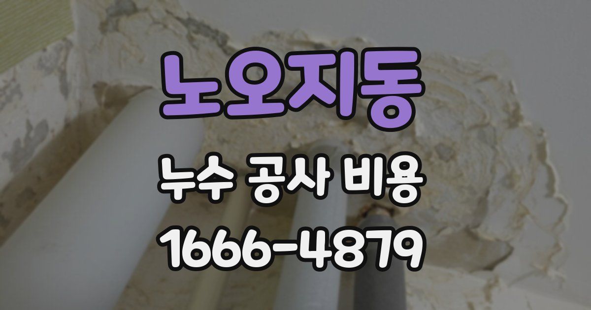 노오지동 누수 공사 비용