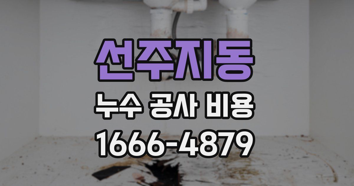 선주지동 누수 공사 비용
