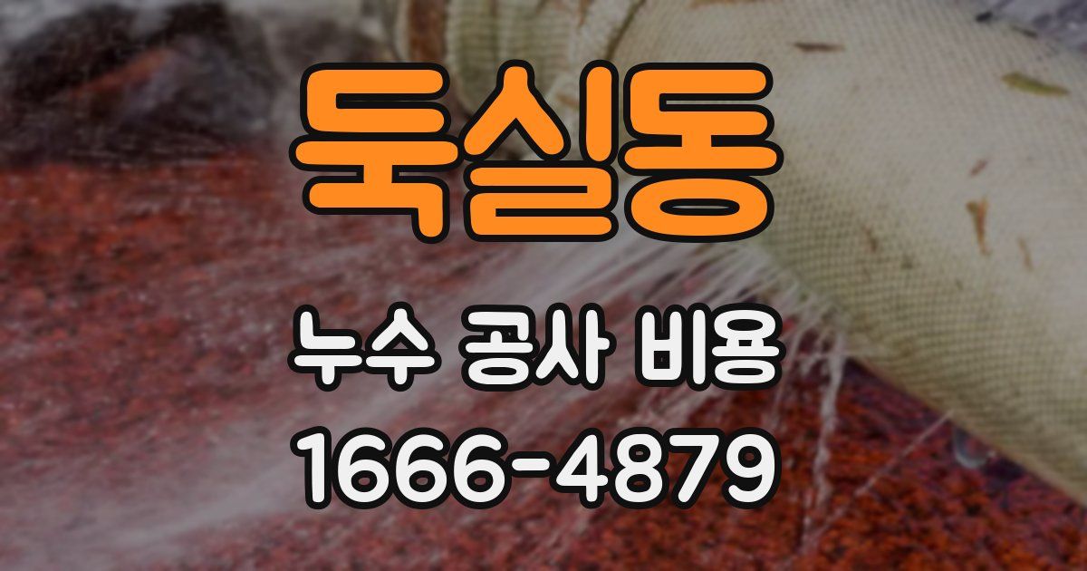 둑실동 누수 공사 비용