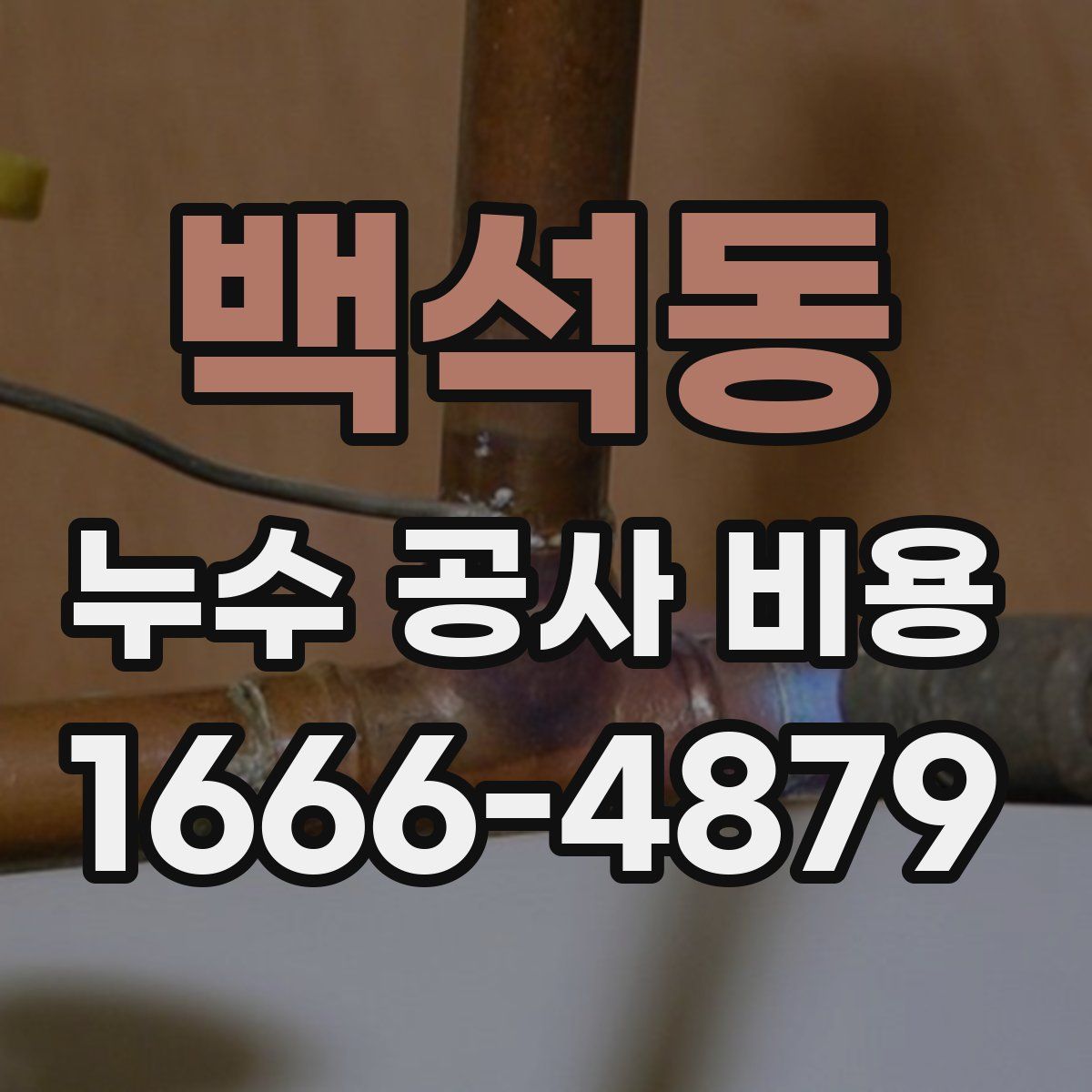백석동 누수 공사 비용