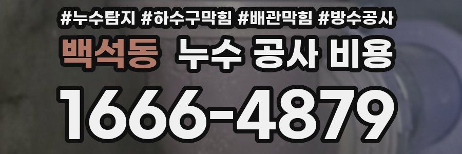 백석동 누수 공사 비용