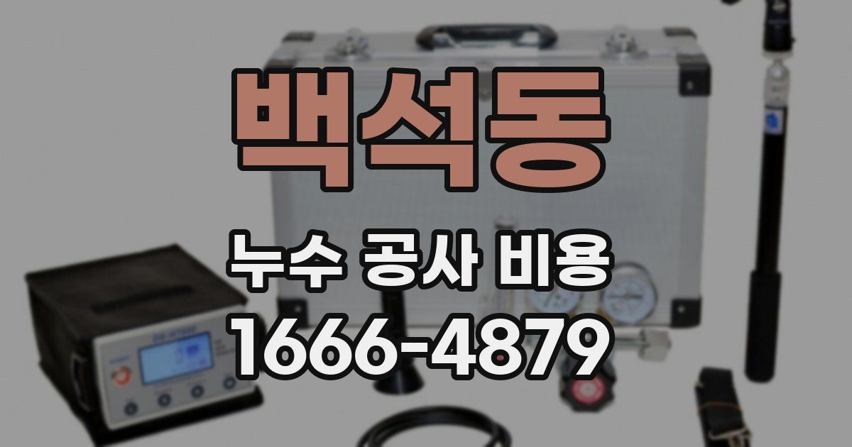 백석동 누수 공사 비용