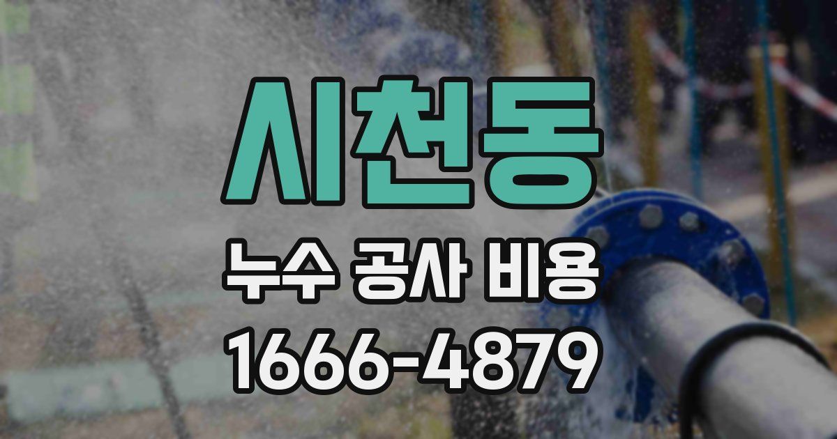 시천동 누수 공사 비용