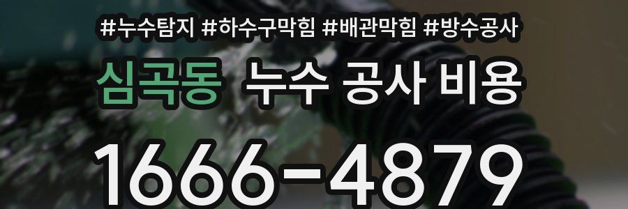 심곡동 누수 공사 비용