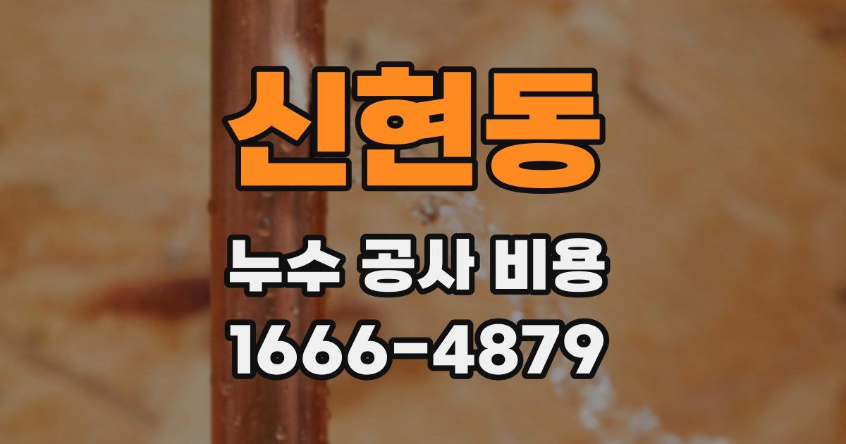 신현동 누수 공사 비용