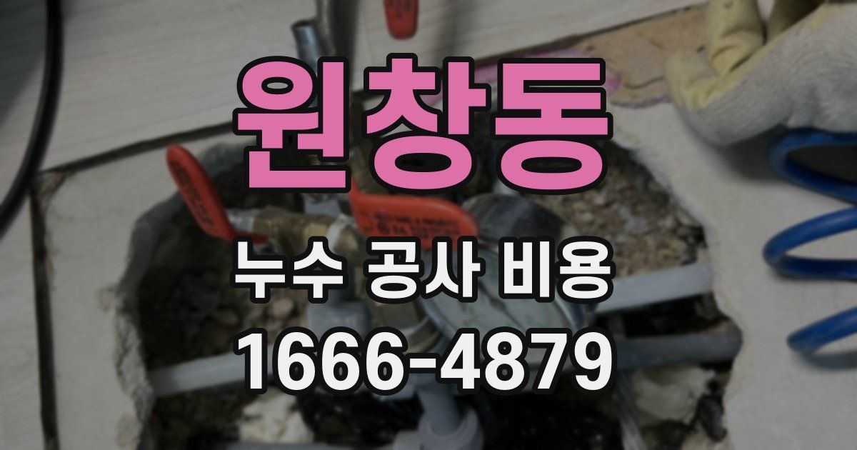 원창동 누수 공사 비용