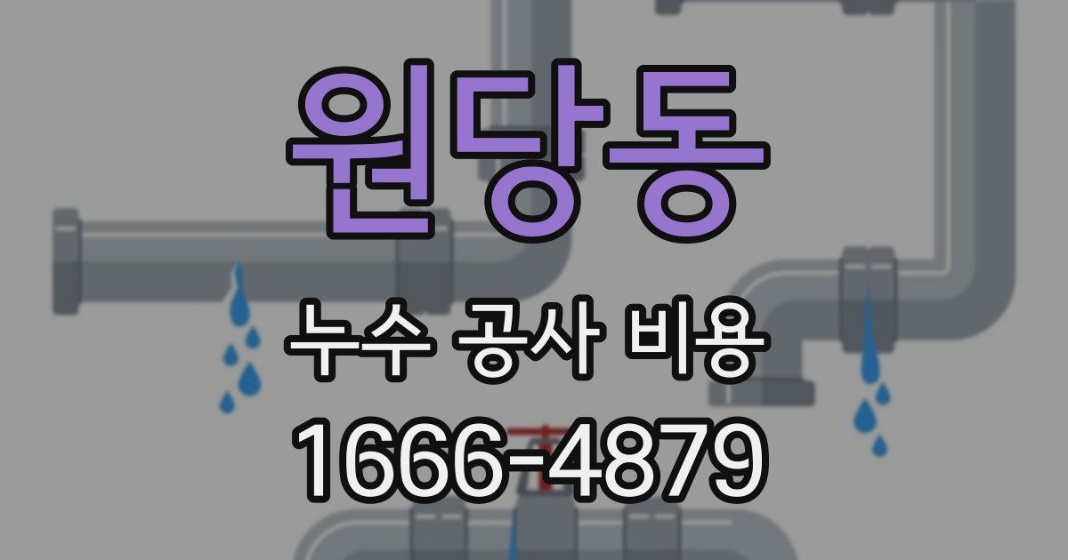 원당동 누수 공사 비용