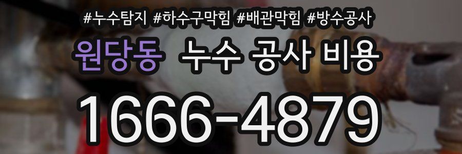 원당동 누수 공사 비용