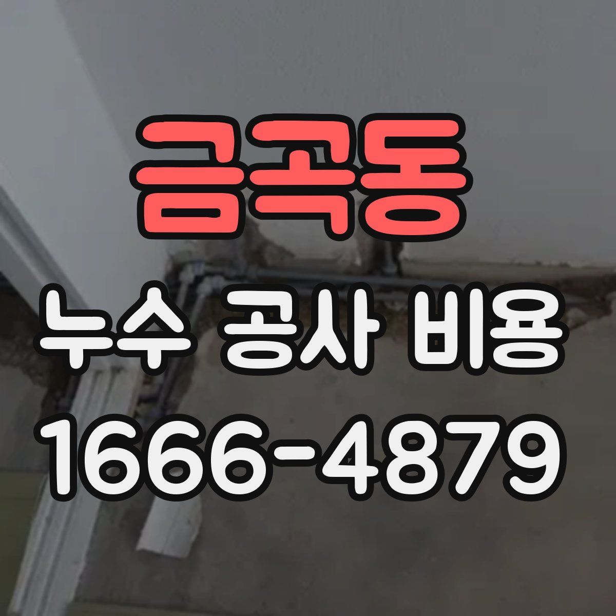 금곡동 누수 공사 비용