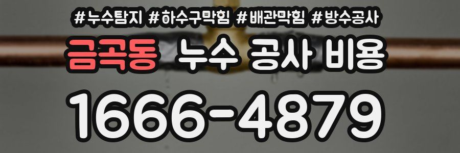 금곡동 누수 공사 비용