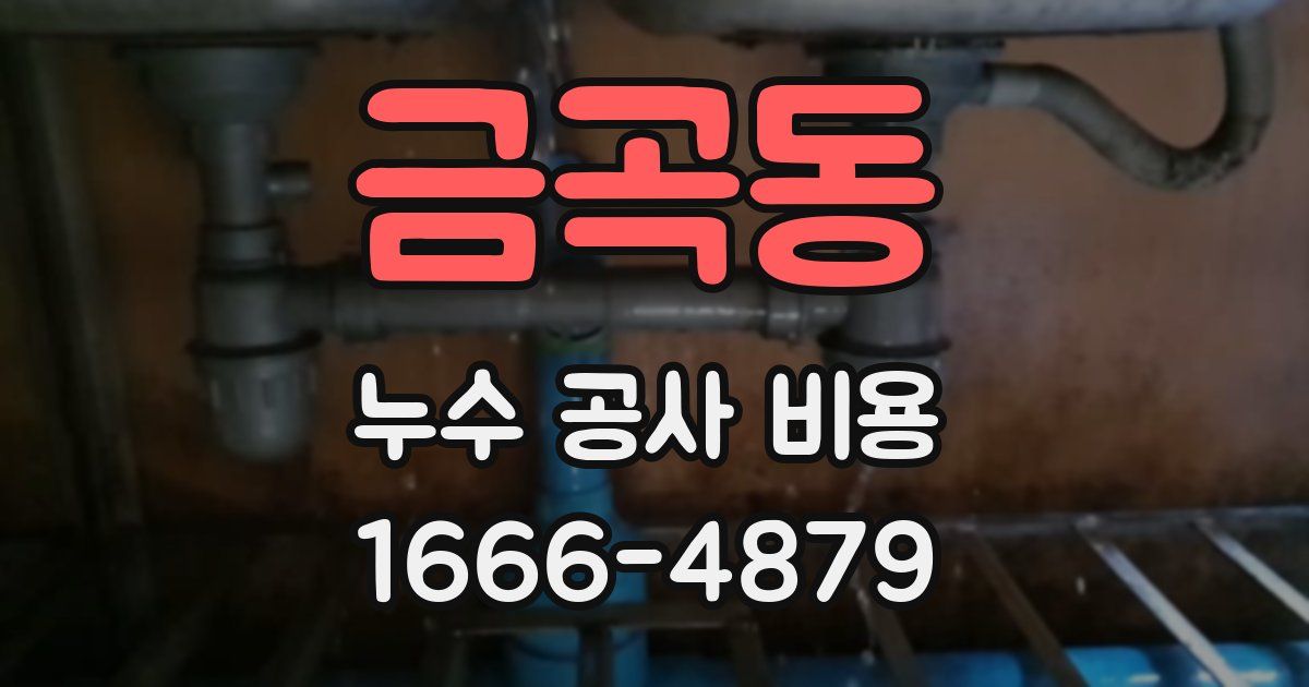 금곡동 누수 공사 비용