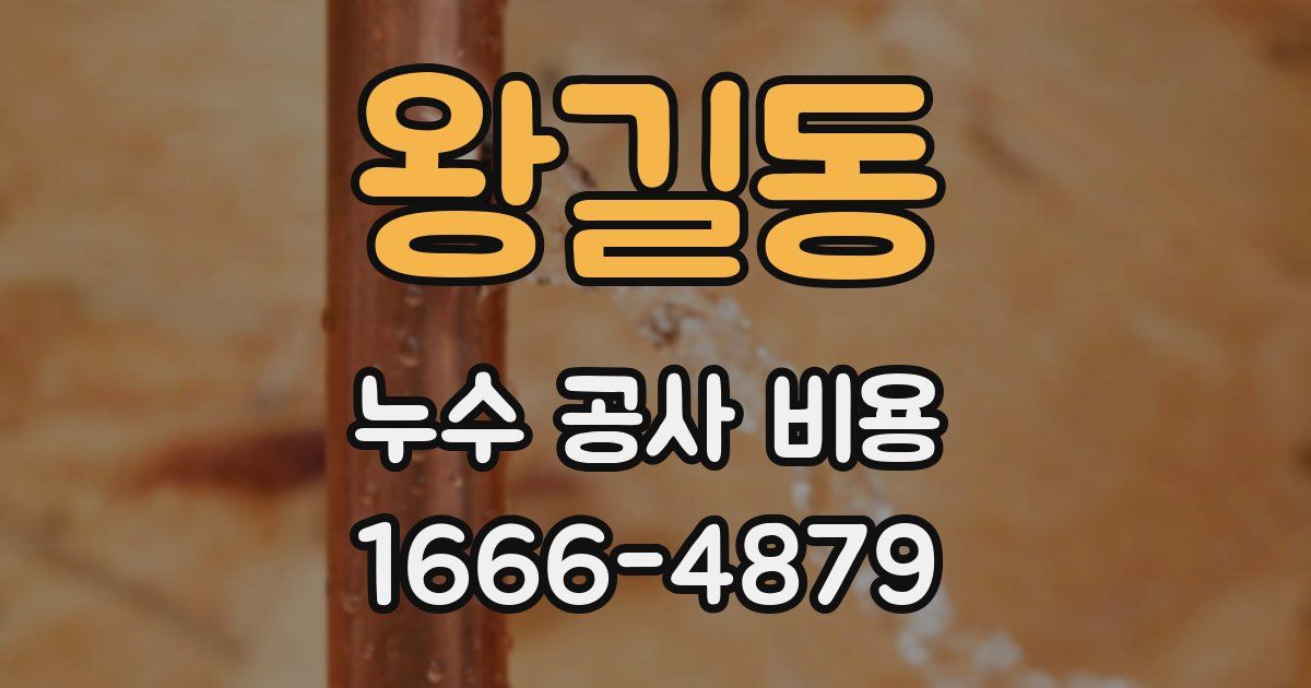 왕길동 누수 공사 비용