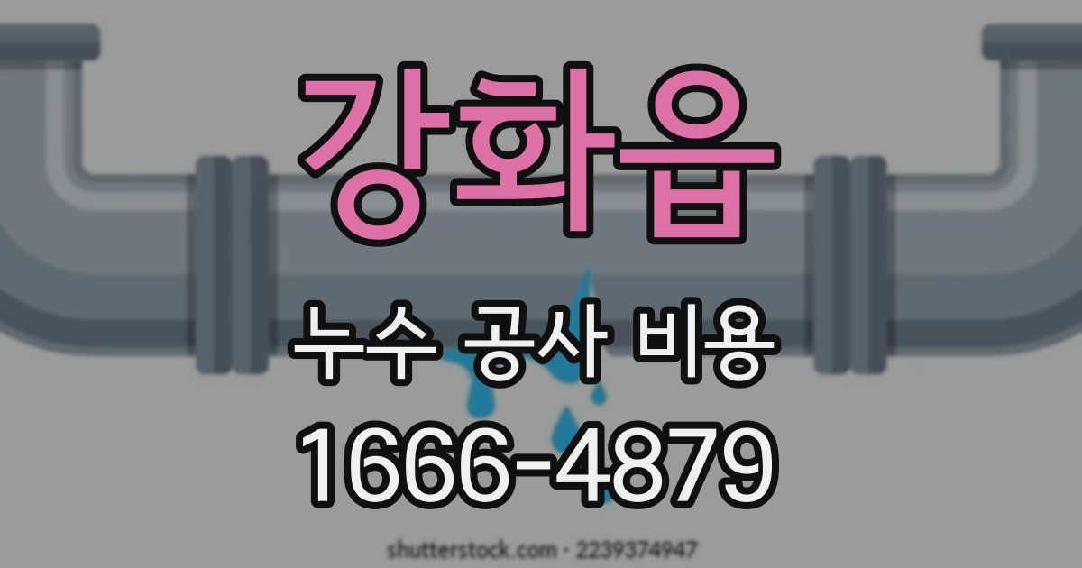 강화읍 누수 공사 비용