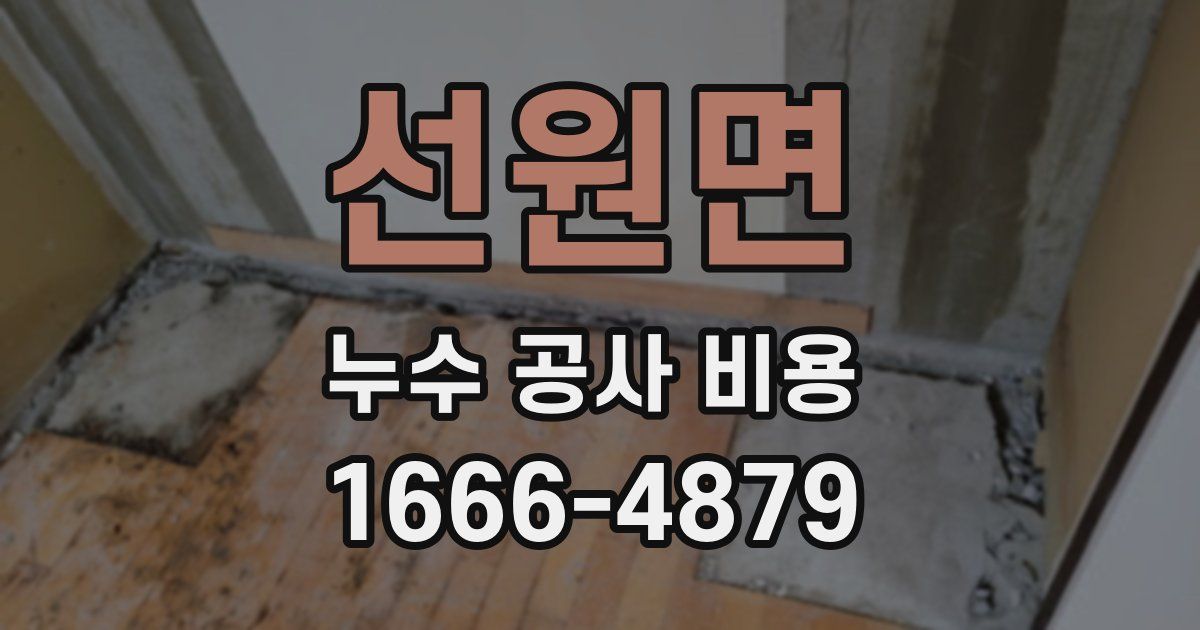 선원면 누수 공사 비용