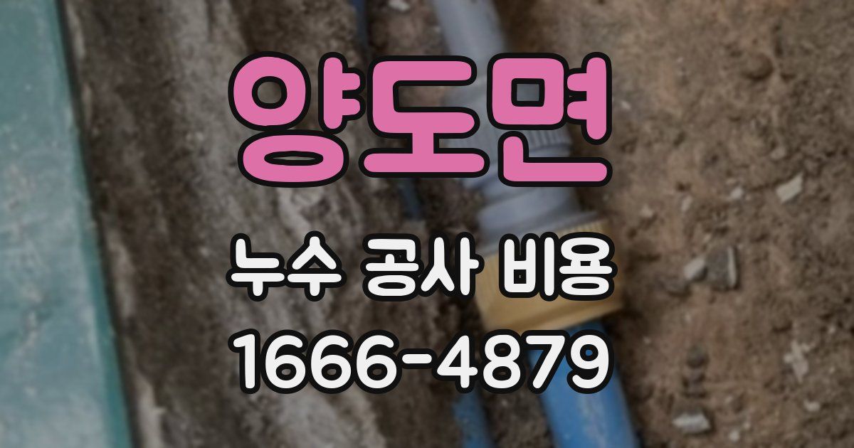 양도면 누수 공사 비용
