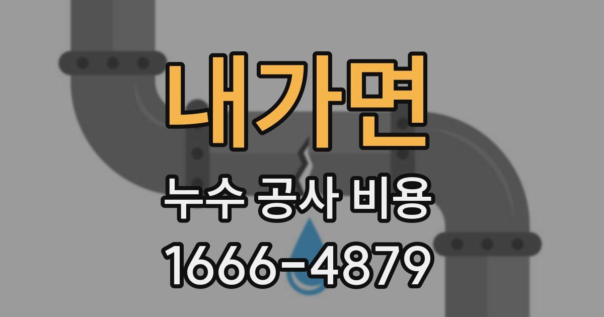 내가면 누수 공사 비용