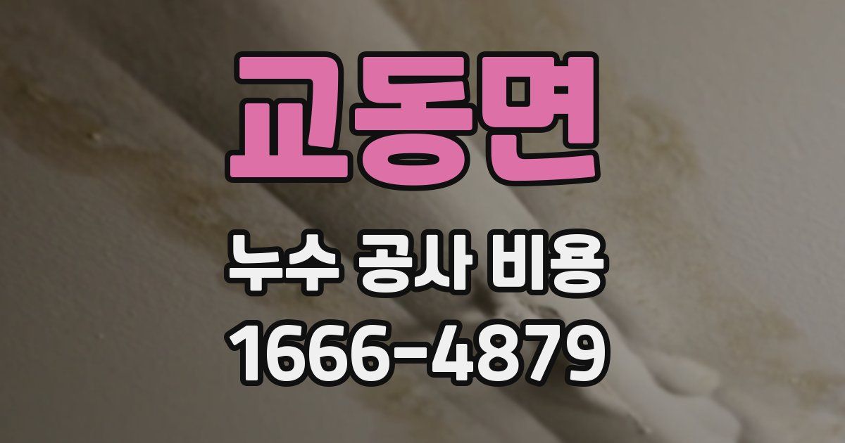 교동면 누수 공사 비용