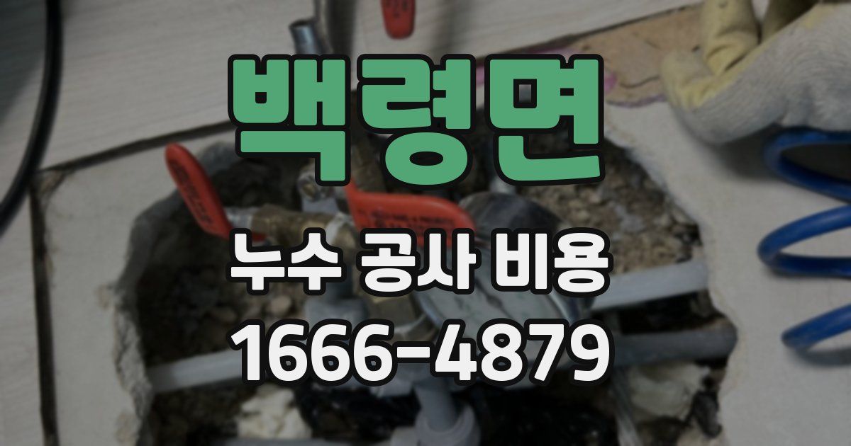 백령면 누수 공사 비용