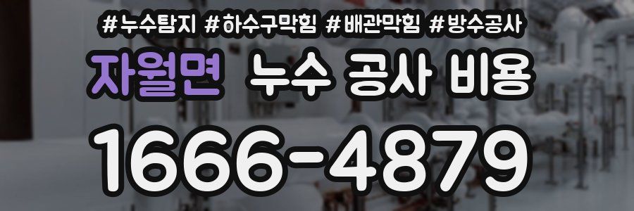 자월면 누수 공사 비용